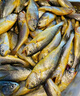 三都港 冷凍海捕小黃魚(yú)700g 24-29條 黃花魚(yú) 海魚(yú) 生鮮魚(yú)類(lèi) 中秋 曬單實(shí)拍圖