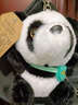 咔唯貓可愛(ài)花花大熊貓公仔毛絨玩具熊貓仿真玩偶panda生日禮物送女友 背包熊貓 50cm 曬單實(shí)拍圖