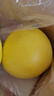 京鮮生 梅州白心蜜柚 單果1.7起 凈重10斤 生鮮水果 源頭直發(fā)包郵 曬單實(shí)拍圖