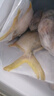 環(huán)球水產(chǎn) 南海金鯧魚(yú)凈重2斤/2條 生鮮魚(yú)類(lèi) 深海魚(yú) 海鮮 火鍋燒烤家庭聚餐 曬單實(shí)拍圖