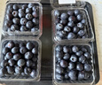 京鮮生 秘魯藍莓22mm+8杯裝禮盒 100克/杯 水果禮盒 源頭直發(fā) 曬單實(shí)拍圖
