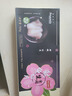 禧美海產(chǎn) 鮮吃魷魚(yú)切片160g/盒 20枚裝 解凍即食 日料刺身 魷魚(yú)片 送禮 曬單實(shí)拍圖