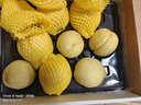 SMVP江蘇特產(chǎn)無(wú)錫水蜜桃【JD多地次日達】軟桃硬桃子中秋水果禮盒送禮 一級果6-8兩8個(gè)禮盒裝凈5斤多 御供貢品  爆甜多汁 曬單實(shí)拍圖