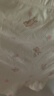 戴維貝拉（DAVE＆BELLA）【兩條裝】女童短褲2025秋季新款兒童四角褲寶寶小內褲小童平角褲 兔子組合【現貨】 2條 110 cm（建議身高100-110cm） 曬單實(shí)拍圖