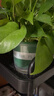 雙盟綠蘿盆栽除甲醛花卉綠植辦公室新房?jì)艋諝?80加侖4盆裝源頭直發(fā) 曬單實(shí)拍圖