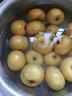 南步天津薊縣酸梨【順豐】細皮老酸梨子安梨薊州酸甜多汁煮水蒸梨水果 5斤 精選小果【單果60g+】 曬單實(shí)拍圖