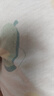 貝瑞加（Babyprints）嬰兒背心2件裝新生兒純棉夏裝初生男女寶寶護(hù)肚上衣柔軟 綠66 曬單實拍圖
