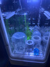 布朗博士奶瓶 唇腭裂專(zhuān)用奶瓶 兔唇寶寶奶瓶 標準口徑防脹氣奶瓶 玻璃250ml唇腭裂奶瓶 0-3&3-6月 曬單實(shí)拍圖