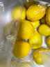 【果園直發(fā)】現摘正宗無(wú)籽廣東香水檸檬青黃果鴨屎香奶茶店專(zhuān)用 香水檸檬青黃果試用（2個(gè)） 曬單實(shí)拍圖