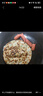 思念酥皮牛肉餡餅880g8片裝 早餐半成品食品早點(diǎn)早飯面點(diǎn)生鮮 曬單實(shí)拍圖