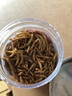 開(kāi)元面包蟲(chóng)干八哥鸚鵡鳥(niǎo)食飼料鷯哥零食蘆丁雞倉鼠零食龜糧食金絲熊 曬單實(shí)拍圖