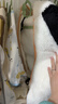 巴拉巴拉嬰兒連體衣秋冬裝寶寶外出抱衣爬服2025保暖絨感萌趣209425120201 曬單實(shí)拍圖