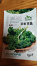 羽衣甘藍種子種籽食用秋冬季綠色蔬菜種籽四季盆栽蔬菜種子大全 羽衣甘藍種子【1包 約30?！?曬單實(shí)拍圖