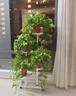 長(cháng)萬(wàn)家花架子陽(yáng)臺客廳室內可移動(dòng)帶輪鐵藝置物架落地式吊蘭多肉綠蘿植盆 珍珠白 滾輪款【可移動(dòng)】 曬單實(shí)拍圖