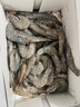 海云馨蝦活蝦速凍生鮮青島大蝦海蝦海鮮水產(chǎn)鮮活冷凍凍蝦超大白蝦 14-17cm整箱 3斤(凈重)  活蝦速凍 曬單實(shí)拍圖