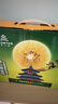 佳沛（zespri）新西蘭  陽(yáng)光金果16粒經(jīng)典果單果 77-103g 中秋水果禮盒 獼猴桃 曬單實(shí)拍圖