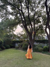 重回漢唐長(cháng)安渡原創(chuàng  )唐制齊胸破裙套裝國風(fēng)漢服女款春夏 上淺黃下橘黃齊胸套裝/預售45天 L 165 曬單實(shí)拍圖