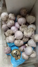 25年云南紫皮獨頭蒜干蒜頭新貨 直發(fā)臘八蒜大蒜糖蒜生鮮蔬菜半價(jià) 3斤(凈重2.7斤) 大獨頭蒜3.0-3.5cm 曬單實(shí)拍圖