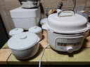 九陽(yáng)（Joyoung）電燉鍋熱水快燉多功能鍋2.8L電燉盅燉湯盅燕窩鍋養生鍋寶寶輔食bb粥迷你煮粥煲湯鍋白瓷GD328 曬單實(shí)拍圖