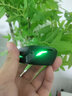 擊音【4麥降噪+0延遲感】6.0藍牙耳機無(wú)線(xiàn)入耳式 電競游戲吃雞聽(tīng)聲通話(huà)音樂(lè )長(cháng)續航 適用蘋(píng)果華為手機男 曬單實(shí)拍圖