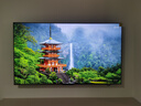 海信電視65E5N Pro+ 65英寸 DeepSeek AI電視 528分區Mini LED 高刷E5ND-PRO 以舊換新家電國家補貼20% 65英寸 咨詢(xún)立減20% 曬單實(shí)拍圖
