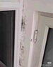 MILACHUCHU墻體除霉劑墻面家用廁所去霉墻布廚房防霉去霉神器斑霉菌點(diǎn)清潔劑 【1瓶裝】快速除霉 曬單實(shí)拍圖