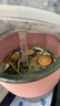 陳一凡金銀花蒲公英甘草菊花茶 天然草本組合清涼祛熱下火茶養生茶100g 曬單實(shí)拍圖