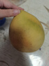 福建平和紅心蜜柚紅肉柚子應季新鮮水果元誠 1粒裝單果1-1.5斤 曬單實(shí)拍圖