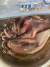美加佳 鮮凍整只大魷魚(yú)（2-3只） 凈重550g 整條魷魚(yú) 深海捕撈 海鮮水產(chǎn) 曬單實(shí)拍圖