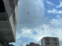 博世（BOSCH）雨刷器雨刮器刮片風(fēng)翼U型26/16適用(豐田15年之后RAV4榮放/凌放) 曬單實拍圖