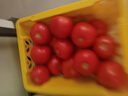 【超市精選】山東沙瓤水果西紅柿新鮮番茄蔬菜減肥單果100g起 西紅柿中大果 2斤 帶箱 曬單實(shí)拍圖