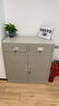 軍臣英杰鐵皮文件柜矮柜辦公室資料檔案柜陽(yáng)臺儲物柜抽屜小柜子帶鎖工具柜 二斗下節矮柜 經(jīng)濟款 曬單實(shí)拍圖