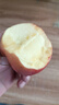 脆甜嘎啦蘋(píng)果陜西特產(chǎn)鮮水果整箱新鮮上市箱裝-千果悅 嘎啦蘋(píng)果帶箱二斤裝60起 曬單實(shí)拍圖