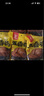鄉盛燒雞德州特產(chǎn)五香扒雞3斤 500g*3只熟食臘味開(kāi)袋即食 曬單實(shí)拍圖