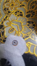 歐態(tài) 動(dòng)態(tài)血糖儀免采血測糖儀 免扎針免組裝持續葡萄糖監測系統M8兩盒 曬單實(shí)拍圖
