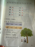 2025斗半匠課堂筆記二年級上冊語(yǔ)文人教版黃岡學(xué)霸筆記教材全解小學(xué)二年級同步教材課前預習課后復習輔導書(shū) 曬單實(shí)拍圖