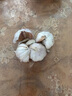 【百萬(wàn)斤急賣(mài)】山東大蒜種新干蒜紫皮大蒜頭種籽蒜大蒜頭蔬菜苗 金鄉本地優(yōu)質(zhì)大蒜 5斤 超值 大果 曬單實(shí)拍圖