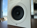 JBL STAGE250B HiFi音箱套裝高保真發(fā)燒級書架箱監(jiān)聽音響揚(yáng)聲器播放器無源喇叭白色 曬單實(shí)拍圖