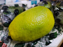 新鮮無(wú)籽青檸檬 果香濃郁小青檸香水檸檬檸檬茶鮮檸檬 香水青檸檬【單果≥60g】1斤 曬單實(shí)拍圖