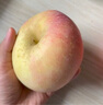煙臺蘋(píng)果水果棲霞紅富士新鮮生鮮果山東特產(chǎn)脆甜 精品果 凈重4.5斤（果徑80mm以上） 曬單實(shí)拍圖