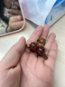 唐芙妮琥珀色櫻桃小抓夾女2024新款發(fā)夾公主頭劉海夾碎發(fā)夾子鯊魚夾發(fā)飾 琥珀色球球小抓夾一對裝 曬單實拍圖