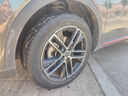 鄧祿普（DUNLOP）輪胎 225/55R19 99H GRANDTREK ST30 日產(chǎn) NEW X-Trail 新奇駿 曬單實(shí)拍圖