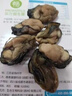 【京東冷鏈】生蠔干大號牡蠣干廣東湛江野生海海鮮蠣蠔豉生蠔干新 精品/野生250g【約100只】 曬單實(shí)拍圖
