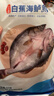 仙泉湖三去白蕉海鱸魚(yú)1斤/條凈膛冷凍刺少肉厚珠海特產(chǎn)500g生鮮食材 曬單實(shí)拍圖
