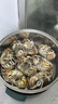 【活蟹】陽(yáng)澄靖壹陽(yáng)澄湖大閘蟹 現貨鮮活大螃蟹 海鮮水產(chǎn)生鮮禮盒 公5.0兩 母4.0兩4對8只 曬單實(shí)拍圖
