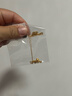 潮宏基 臻金弘拉絲葫蘆黃金項鏈女5G金錢(qián)幣福祿送媽媽送女友禮物 計價(jià) 4.5g 鏈長(cháng)約40-42cm+延長(cháng)鏈 曬單實(shí)拍圖