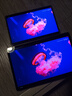 HUAWEI MatePad Mini 柔光版 華為平板電腦8.8英寸小平板 大手機OLED屏 SIM卡版可通話(huà) 12G+512GB 雪域白 曬單實(shí)拍圖