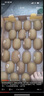 綠聯(lián)【MFi認證不彈窗】適用蘋(píng)果17/16/15/14充電線(xiàn)Type-C轉lightning二合一數據線(xiàn)PD100W快充一拖二1米 曬單實(shí)拍圖