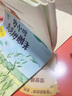 萬(wàn)物復書(shū)25秋一年級來(lái)喝水吧我愛(ài)大自然 一園青菜成了經(jīng)典童謠集 兒歌300首上童趣出版社 和大人一起讀太陽(yáng)鏡 老柳樹(shù)爺爺和小魚(yú)小巴掌童話(huà) 笨狼的聰明計劃笨狼的故事 正版贈導讀單 一年級6本組合+導讀單 曬單實(shí)拍圖