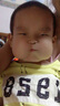 美素佳兒（Friso）皇家美素佳兒（Friso Prestige）幼兒配方奶粉12-36月齡幼兒 3罐組*800g（新國標）店長(cháng)推薦 曬單實(shí)拍圖